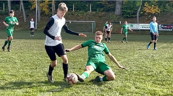 20.10.2024 Luisenthaler SV vs. JFC Nesse Apfelstädt