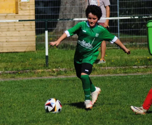 24.08.2024 Luisenthaler SV vs. SV Wandersleben II